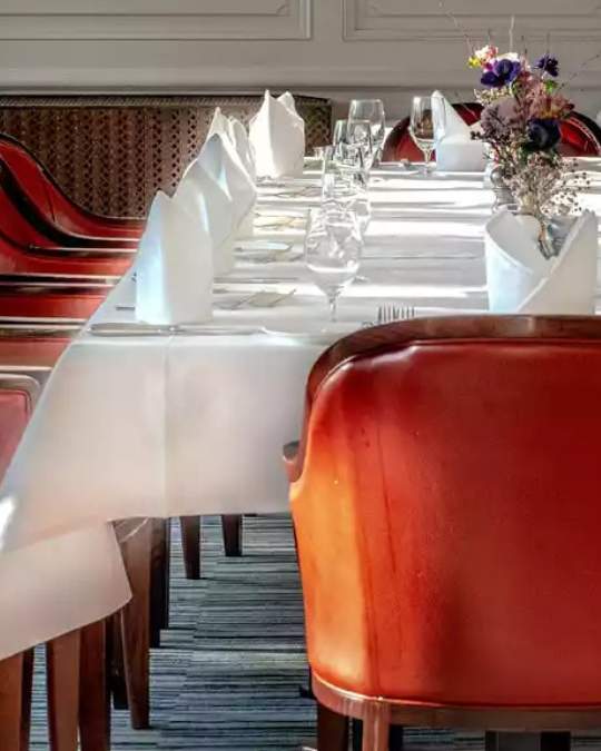 Dining & Banquet Linens 4